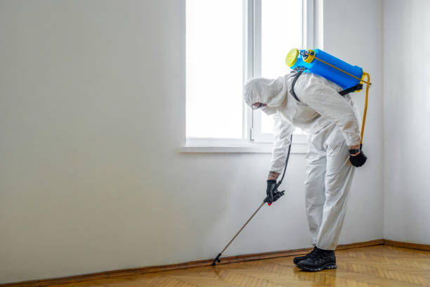 Best Exterminator Services  in Fiskdale, MA