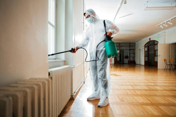 Best Flea Control Services  in Fiskdale, MA
